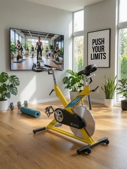 LeMond RevMaster Classic Indoor Cycling Bike – Spin Bike