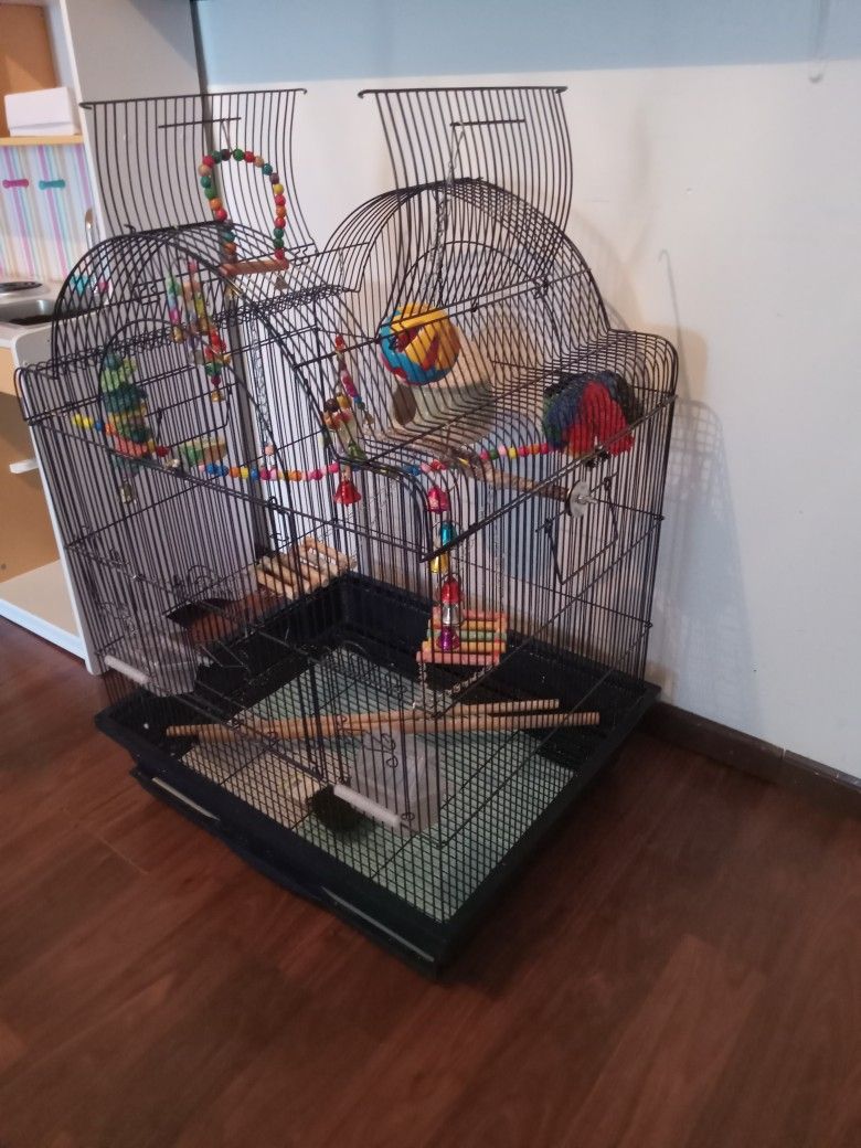 Bird Cage With Supplies 