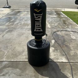 Everlast Powercore Punching Bag 