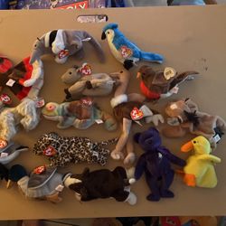 Lot Of 16 Beanie Babies $100