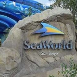 Seaworld tickets/boletos 