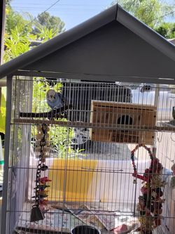 Bird cage