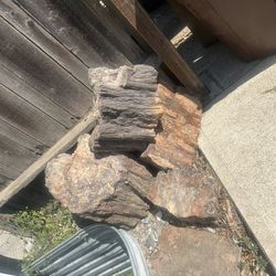 Black Petrified  Wood  Came From Az