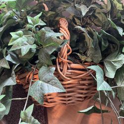 Plant With Basket