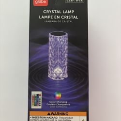 LED Color Changing Light