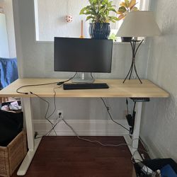Standing Desk & Chair 