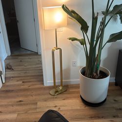 Modern Floor Lamp (Gold/Brass) w/ Shade