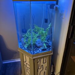 Fish Tank For Sale. Everything Included