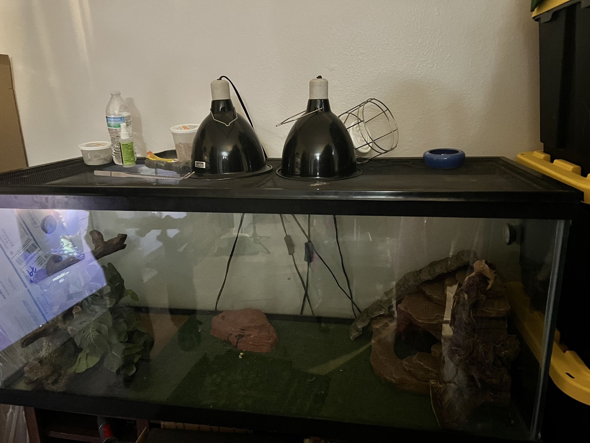 100 Gallon Lizard Tank Plus All Decor