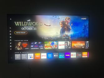 Vizio Smart TV Flat Screen