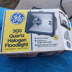 300 Watt Quarts Halogen Floodlight 