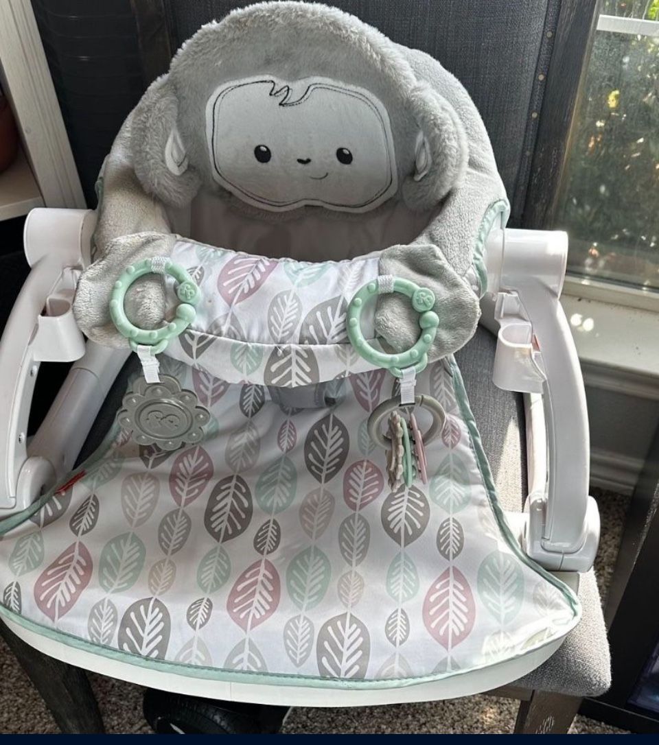 portable chair and swing