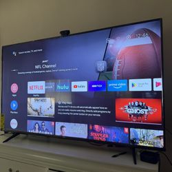 65 Inch Smart TV