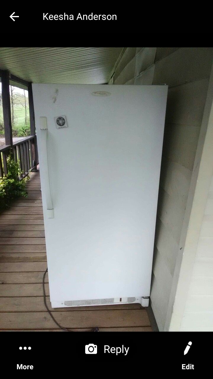 Frigidaire commercial stand-up freezer