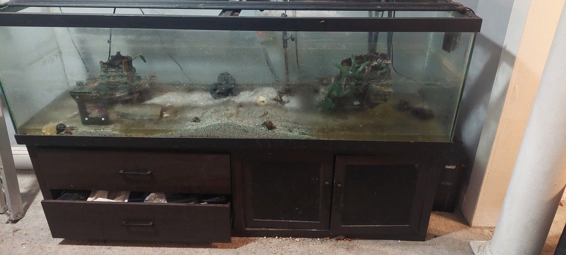 Huge 5ft 125 Gallon Fish Tank With Pump, Filters And Accessories