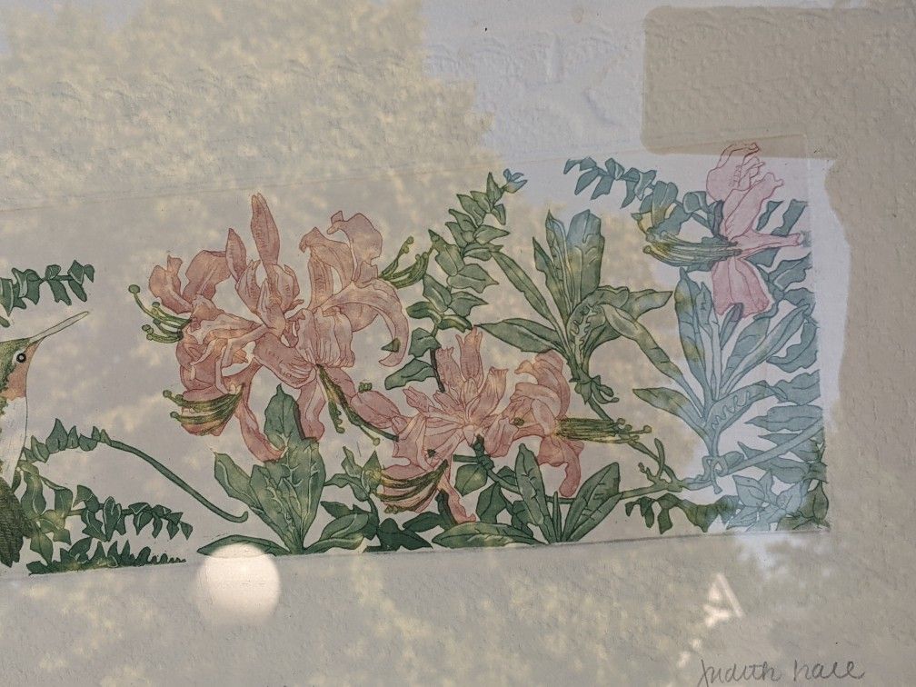 ""GARDEN VISITOR" AP X/XV (I Apologize For The Bad Photo )