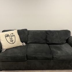 Couch (1 Year Old Custom Couch) 