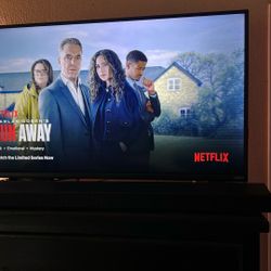 Vizio Flat Screen Television 