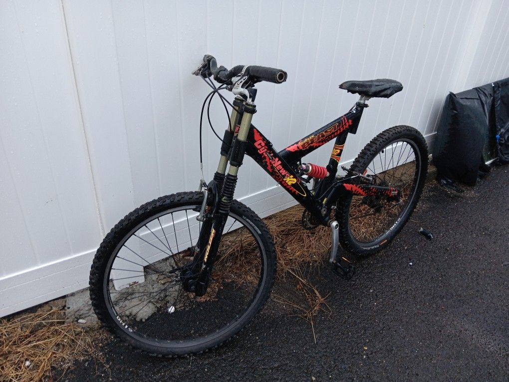 Beast Mountain Bike