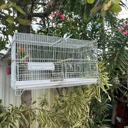 Bird Cage