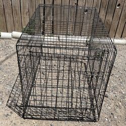 Large Dog Crate