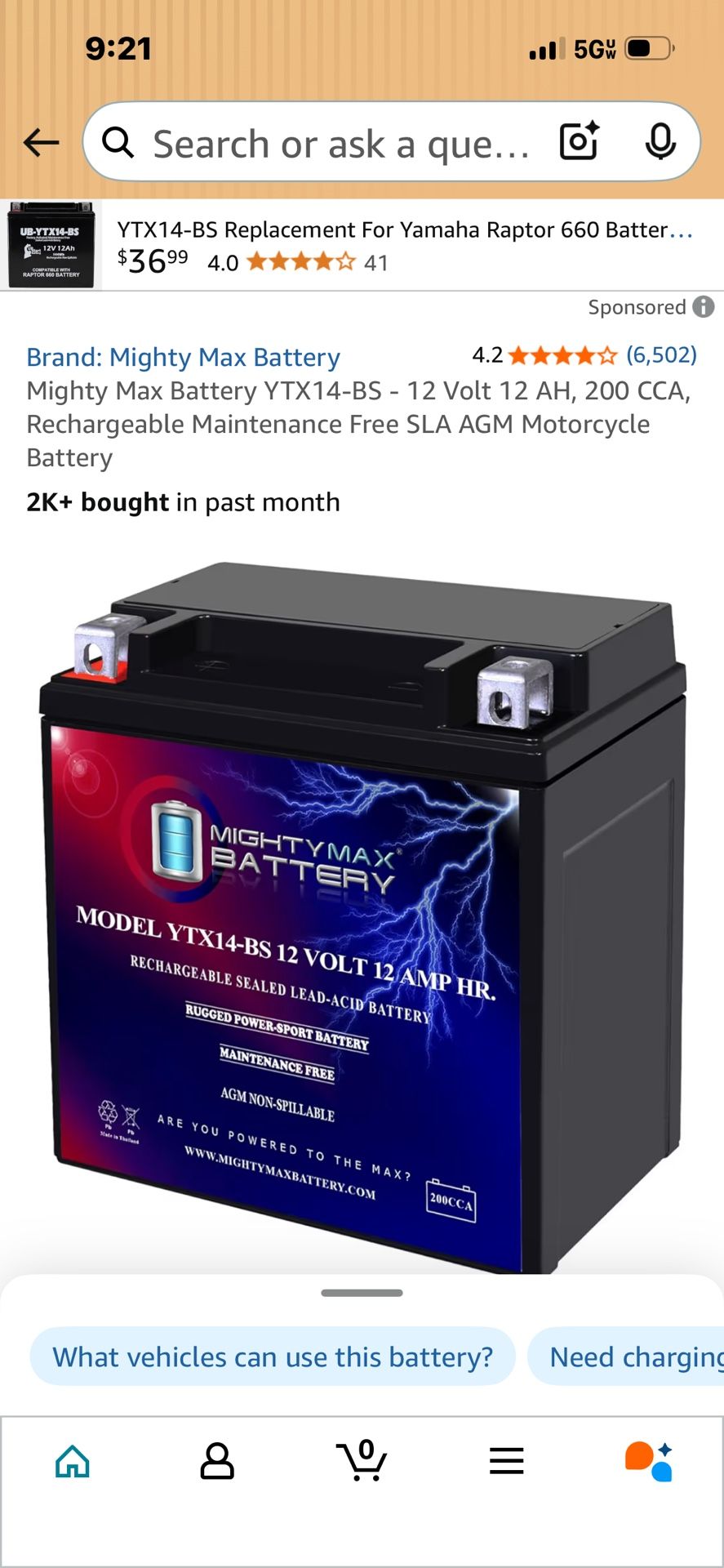 Mighty Max 12 V Battery