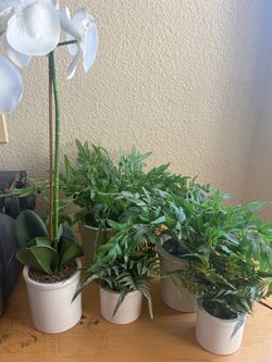 Artificial plants great for desks