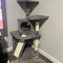 Cat Tree
