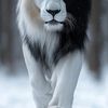 Rafael 