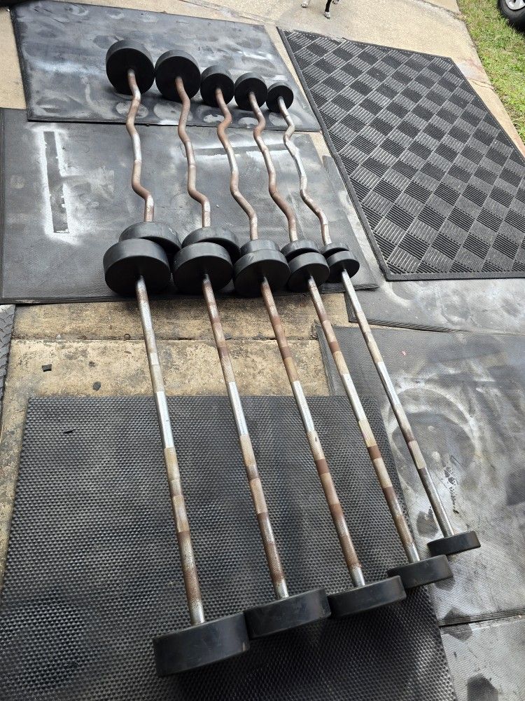 Weight Fixed Curl & Straight Bars