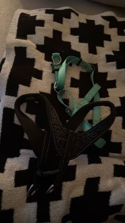 XS dog harness