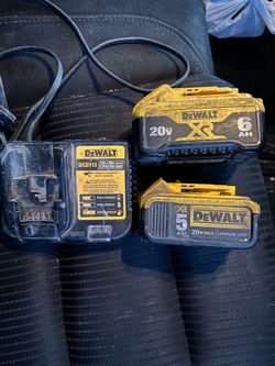 Two batteries and charger