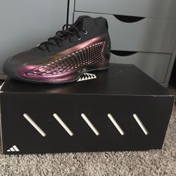 anthony edwards 11 1/2