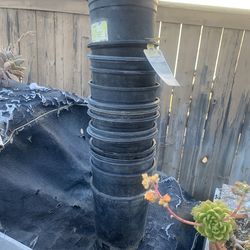 18 Pots 1 gallon all for 10$