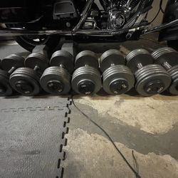 Dumbbells Pro Style 