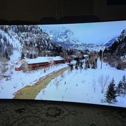 CURVED SAMSUNG TV