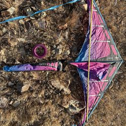 Prism Kite From REI