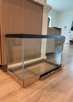 20 gallon aquarium fish tank