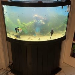 55 Gal Corner Fish Tank and Stand Set