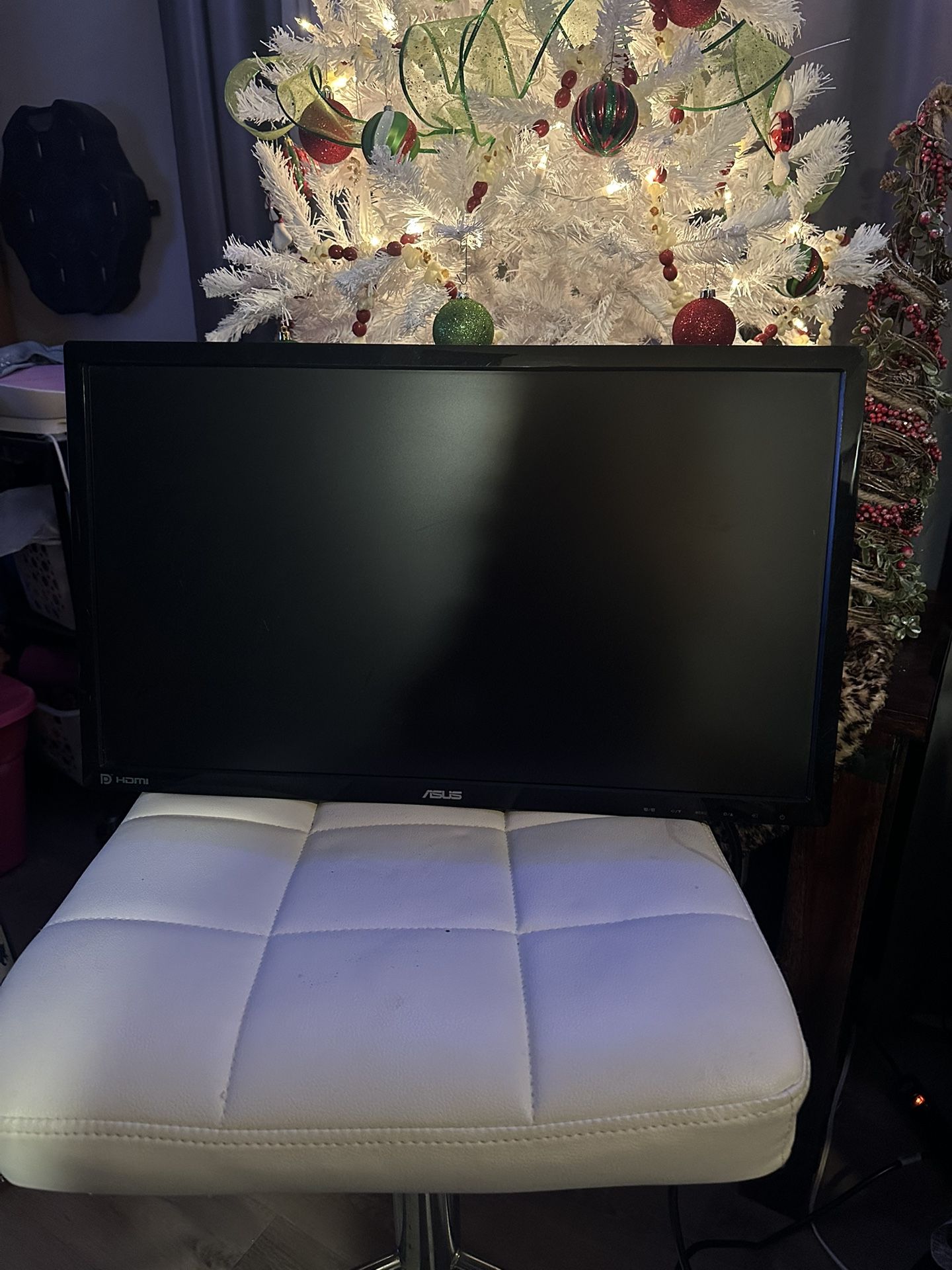 Asus Computer Monitor 