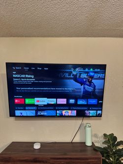 Sony 55” TV and TV Mount
