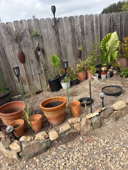 Flowers and Pots (Give me Offer for all)