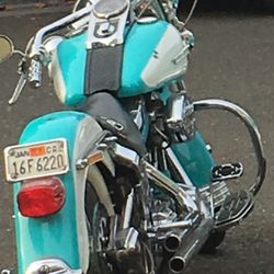 2004? Custom Soft Tail