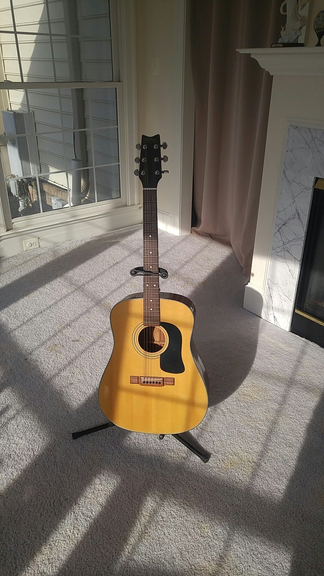 Acoustic Guitar