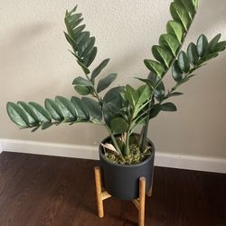 Faux Plant - Artificial Plants