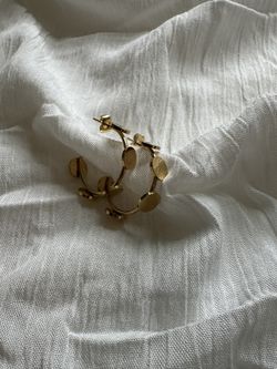 Stainless Steel earrings 