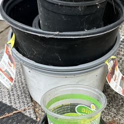 Free Plastic Pots