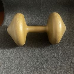 10 Pound Dumbbell (1pc Not Pair)