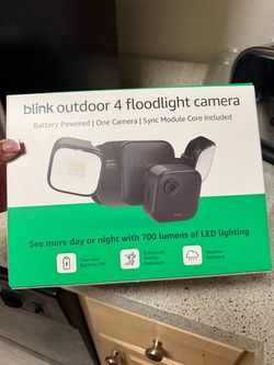 *NEW* Blink Outdoor Flood Camera