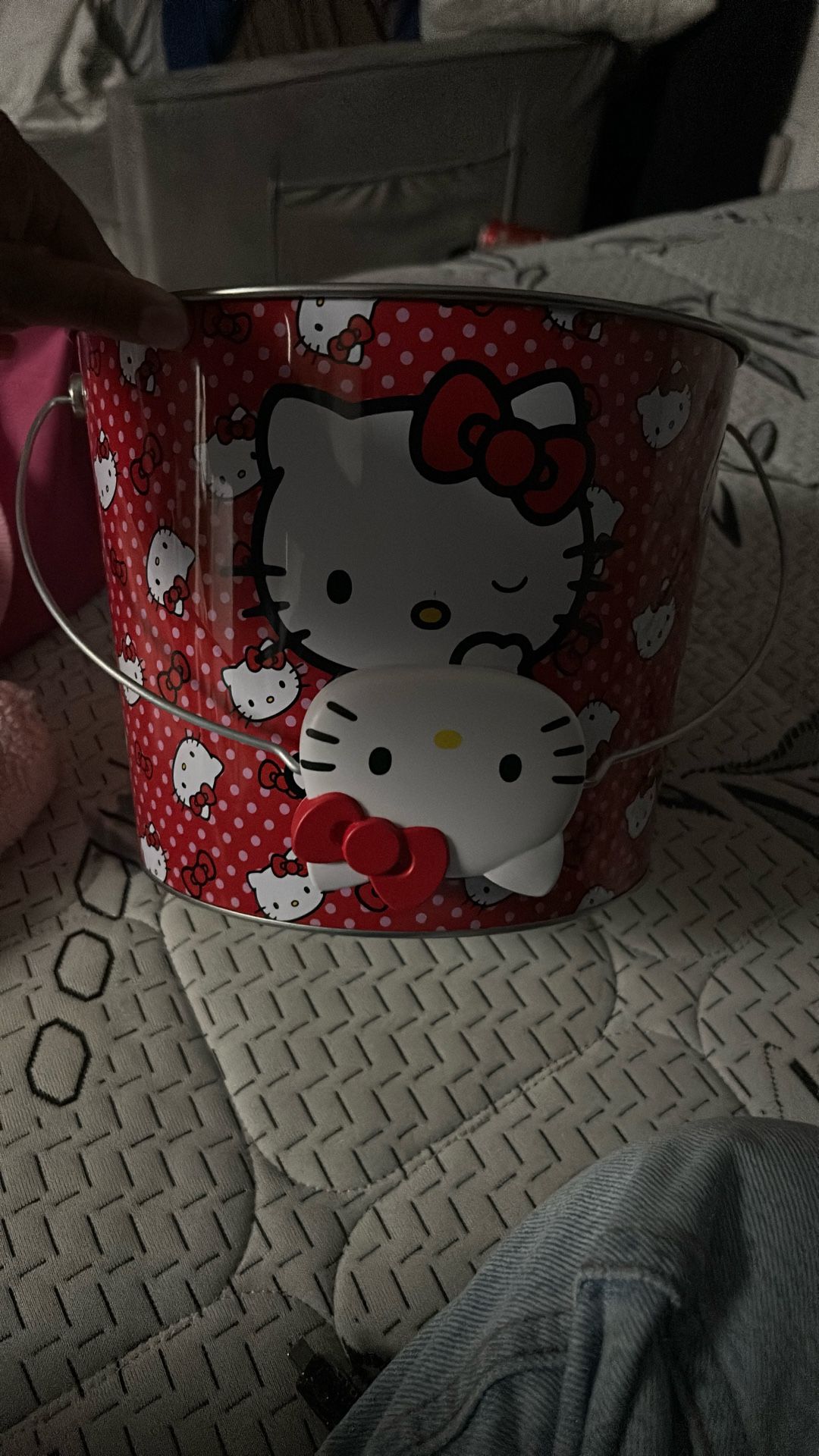 hello Kitty Bucket